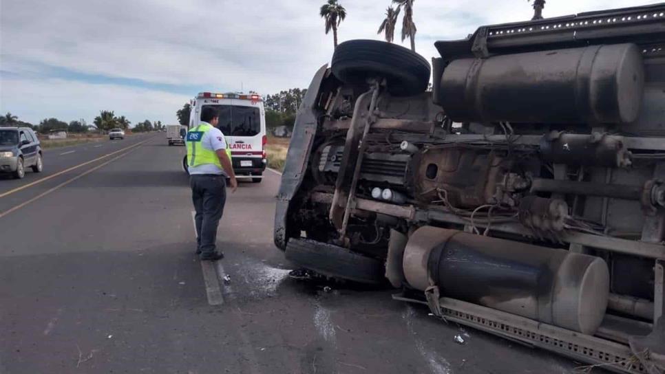 Vuelca tráiler con palmas cerca del ejido 18 de Marzo, Ahome