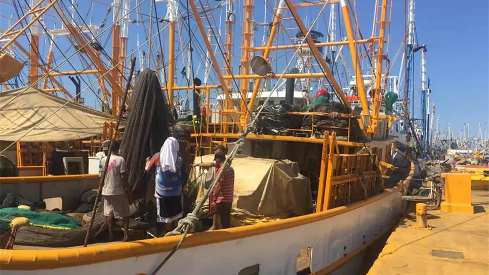 Falta de subsidio a diésel deja en desventaja a pescadores: García Hernández