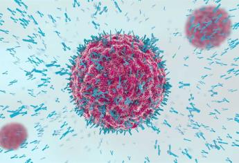 Leucemia linfocítica crónica, enfermedad frecuente en adultos mayores