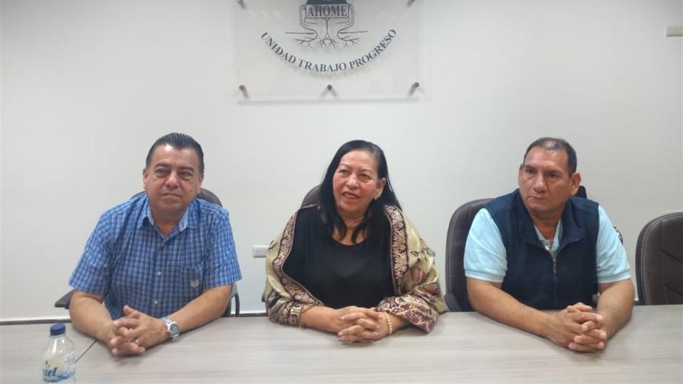 Ayuntamientos no comprarán casas a precaristas: Rosa Inés López Castro