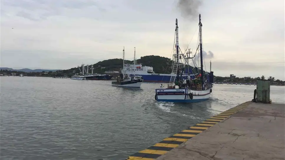 FOTO: Temática.