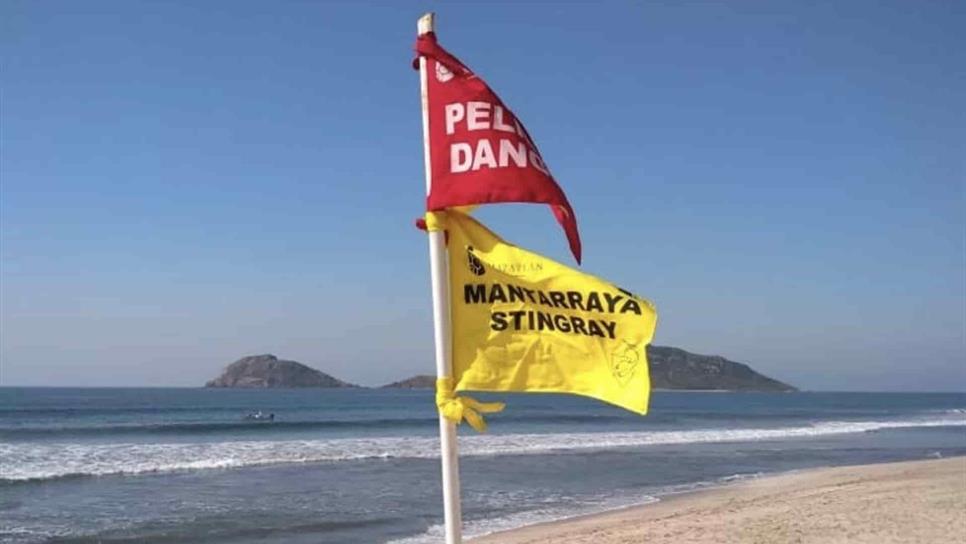 Alertan sobre inicio de temporada de mantarrayas en las playas
