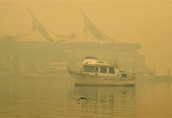 Alertan de emergencia sanitaria a Sydney por humo tóxico