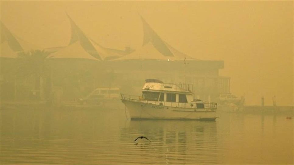 Alertan de emergencia sanitaria a Sydney por humo tóxico