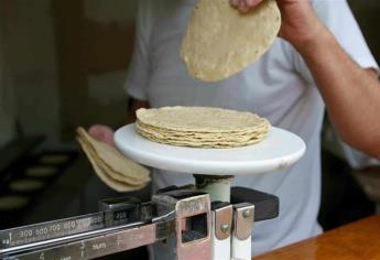 Kilo de tortillas: 19 pesos, precio tope