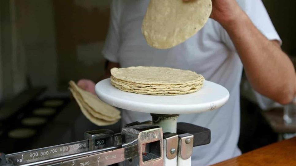 Kilo de tortillas: 19 pesos, precio tope