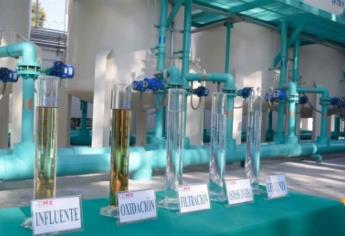 Crean prueba para prevenir la fluorosis esquelética