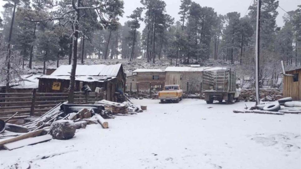 Prevén caída de nieve mañana en sierra de Chihuahua