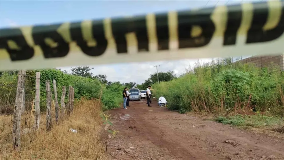 Cierra 2019 con tendencia a la baja en homicidio y feminicidio: SESESP