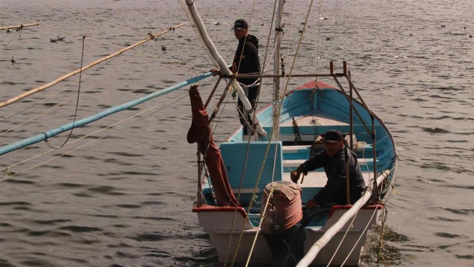 Piden el rescate urgente de la pesca de bahía para este 2020
