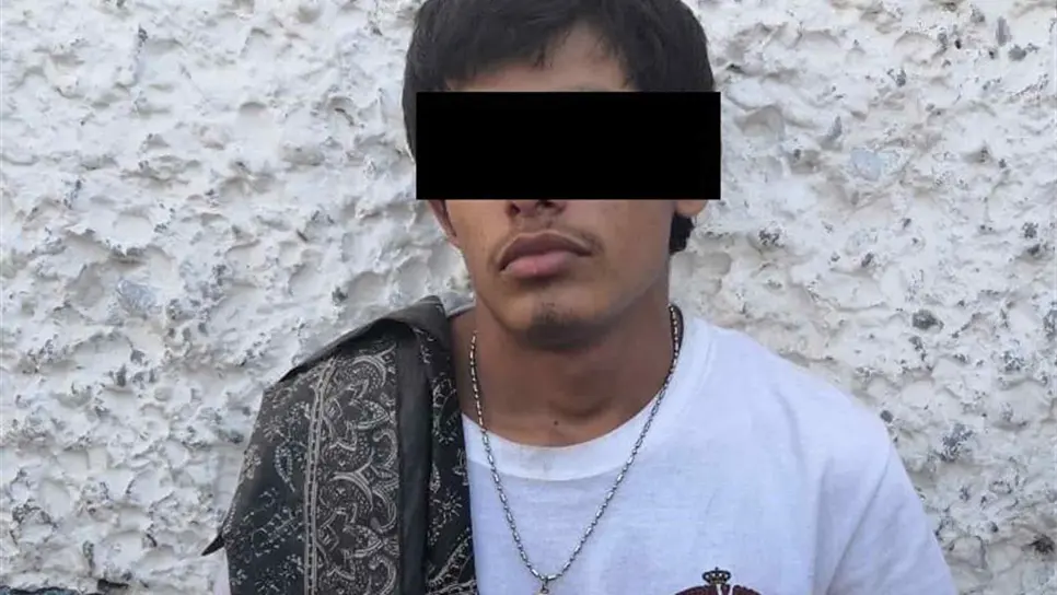 Detienen a pareja mazatleca por maltratar a dos perros