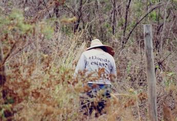 En Sinaloa, se localizaron 138 fosas durante el 2019