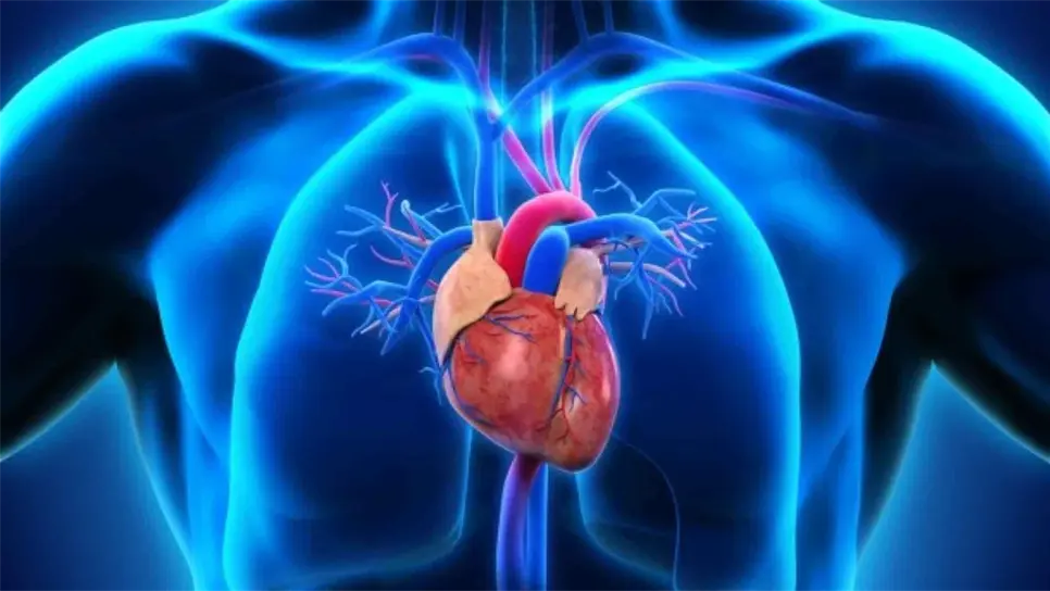 Dolor en mandíbula podría ser síntoma de padecimiento cardíaco