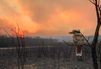 Contaminantes nocivos de incendios en Australia llegan a Sudamérica