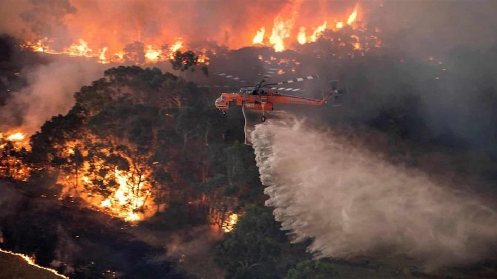 Sequía y escasas lluvias originaron incendios en Australia