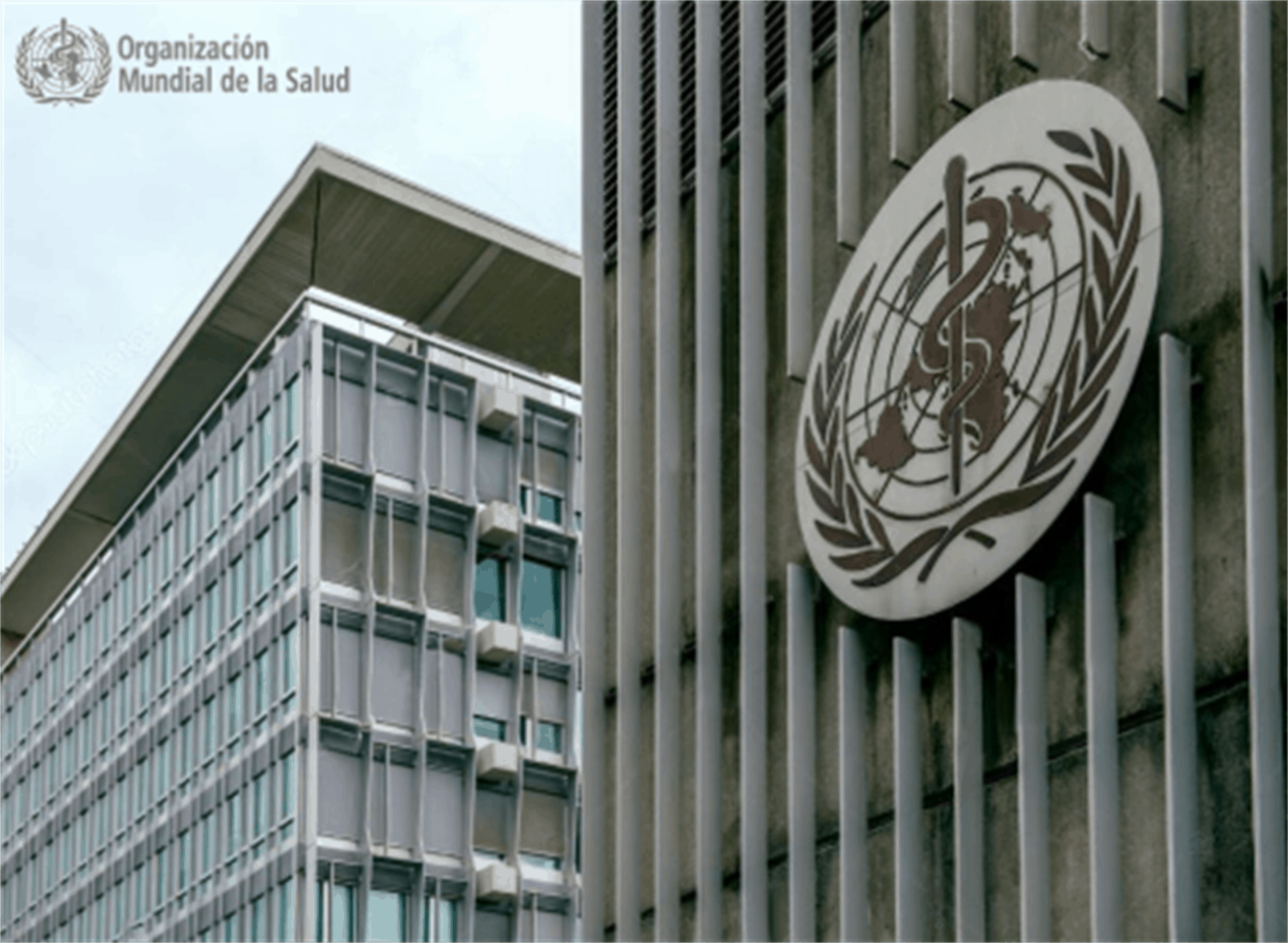 Identifica OMS 13 amenazas a la salud mundial