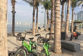 Se mueven chilo en Mazatlán desde hace casi un año