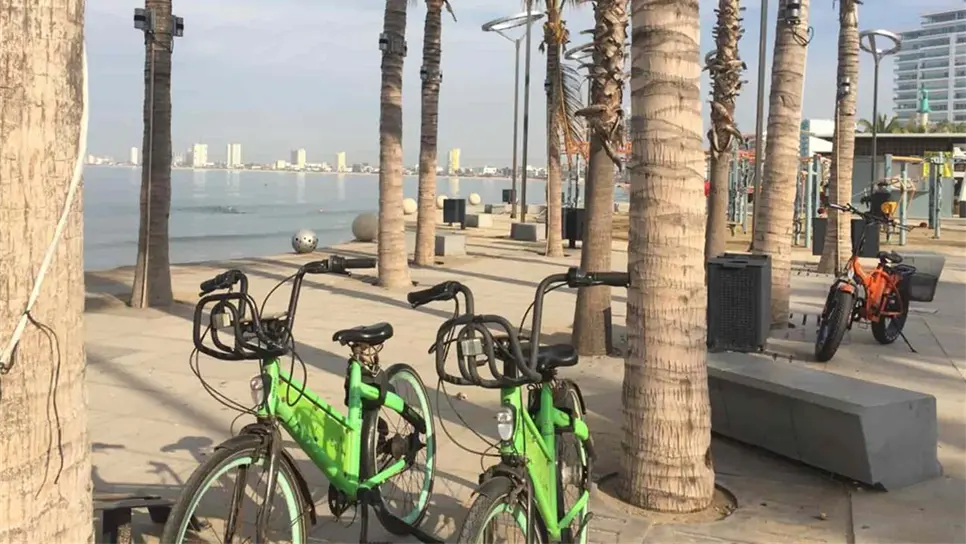 Se mueven chilo en Mazatlán desde hace casi un año