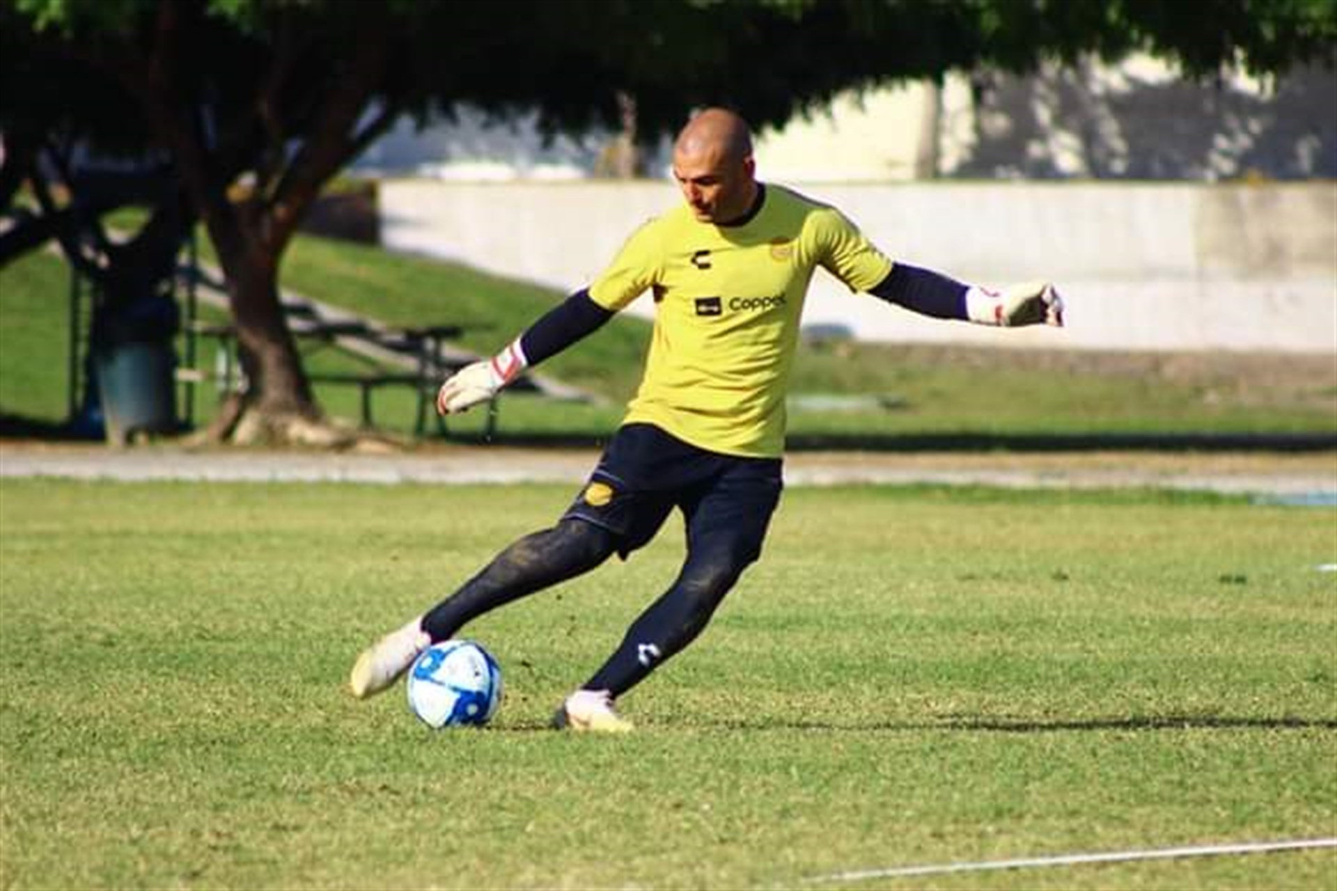 Anuncia Dorados a sus refuerzos para Clausura 2020