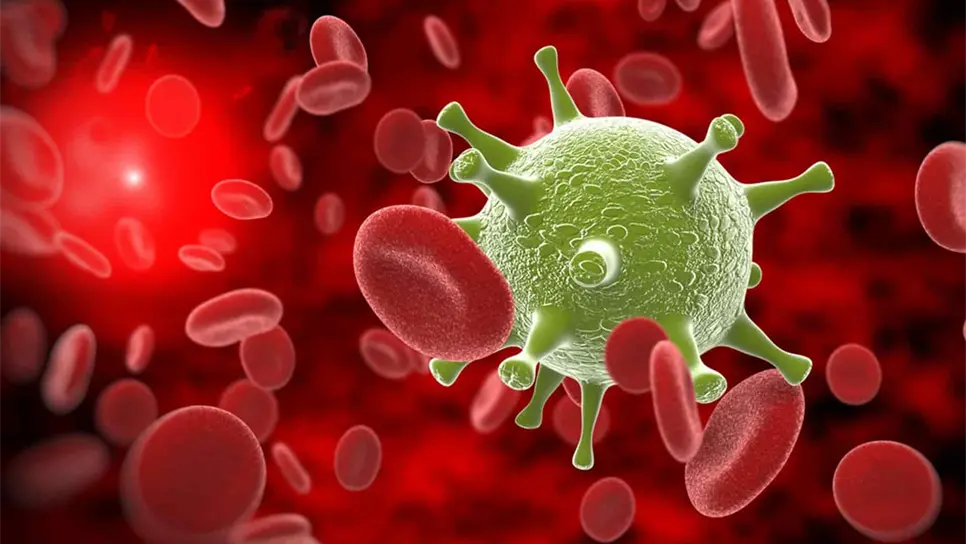 Mueren de sepsis una de cada cinco personas en el mundo