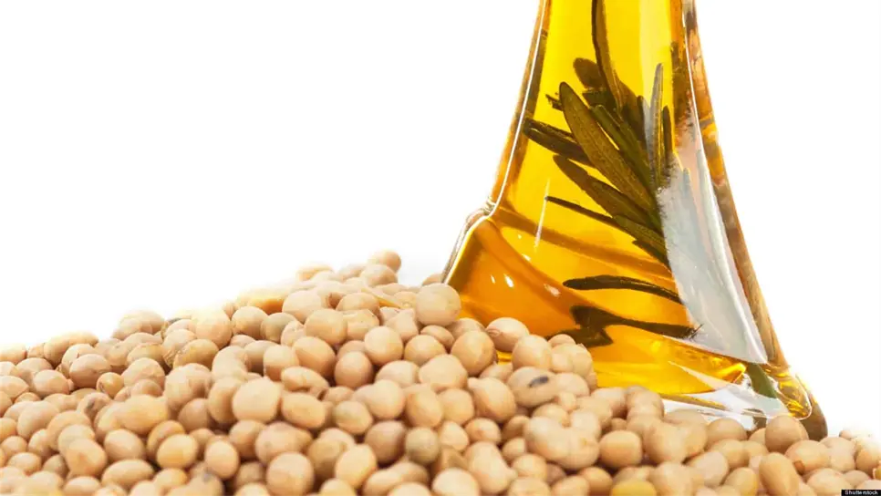 Aceite de soya podría causar autismo y Alzheimer: estudio