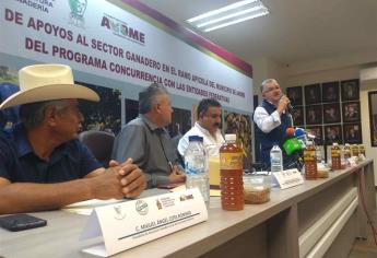 Fortalecen la apicultura en Ahome
