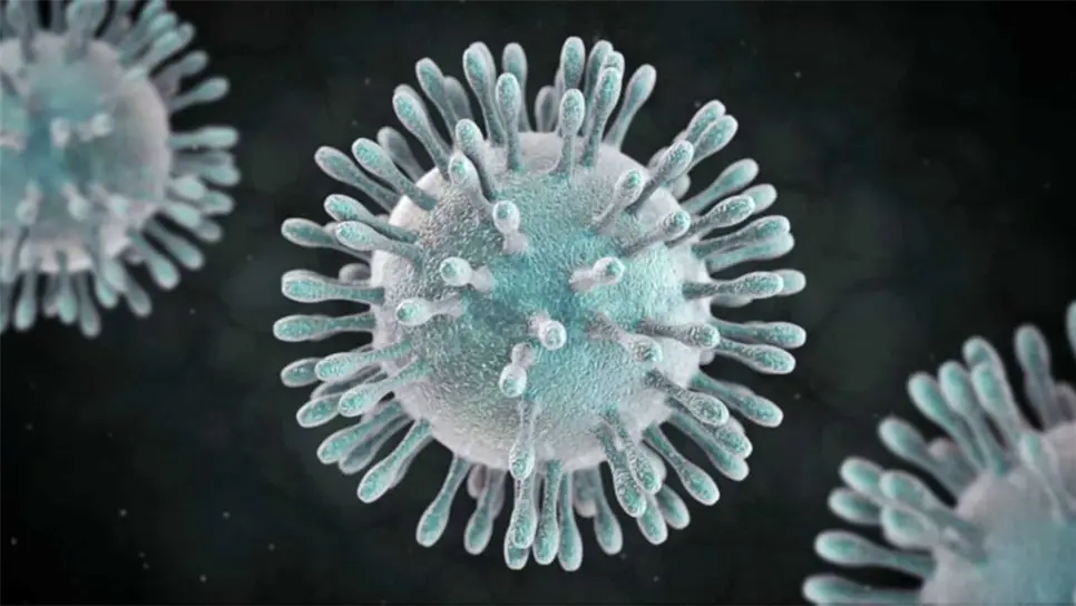 Hasta ahora no se ha detectado coronavirus en México: Alcocer