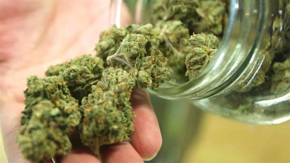 Sólo comercios especializados podrán vender mariguana: Zamora