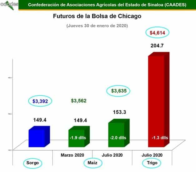 Imagen Placeholder