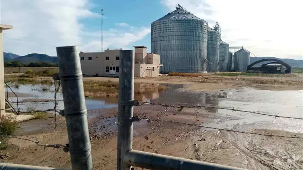 Productores mantienen bloqueo en bodegas