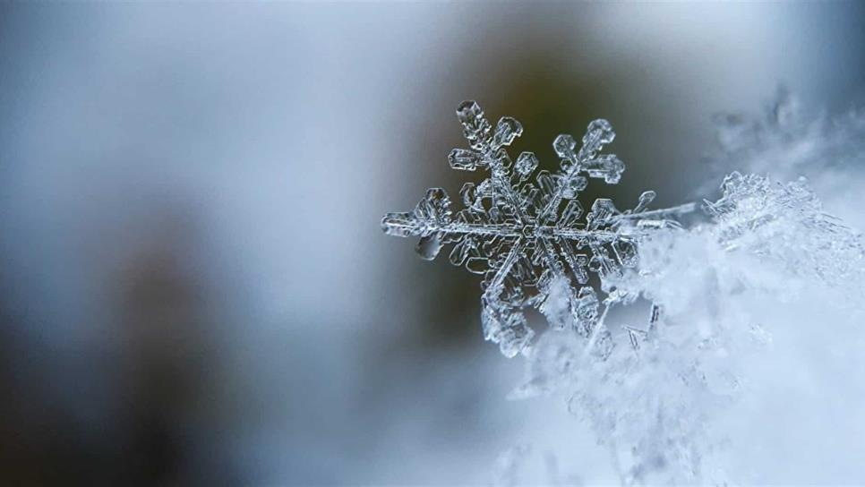 Prevén descenso de temperaturas esta madrugada en Sinaloa