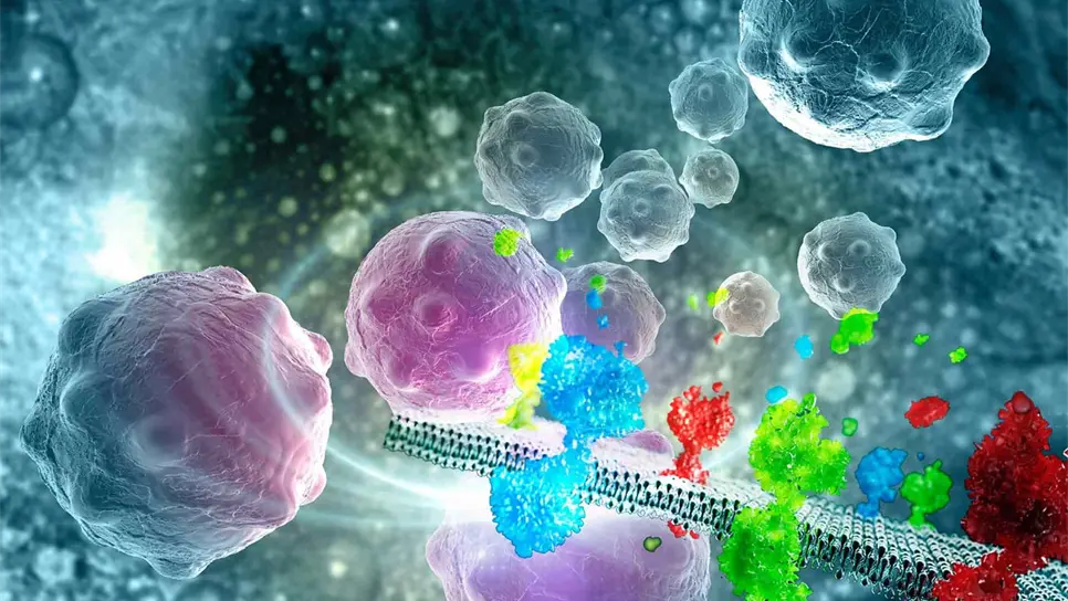 Aumentarán 60% casos de cáncer en el mundo: OMS