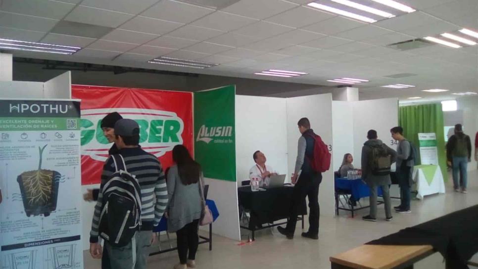 ¡Hay trabajo en Culiacán! Feria del Empleo ofertará vacantes con sueldos de $35 mil