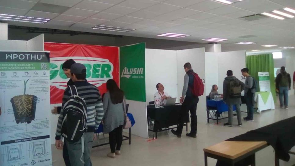 Ofertarán 239 vacantes en Feria del Empleo en Los Mochis