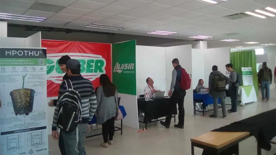 Ofertarán 239 vacantes en Feria del Empleo en Los Mochis