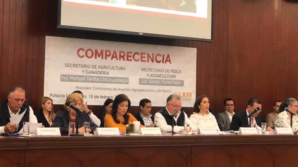 Comercialización y apoyos, destaca Tarriba Urtuzuástegui en comparecencia