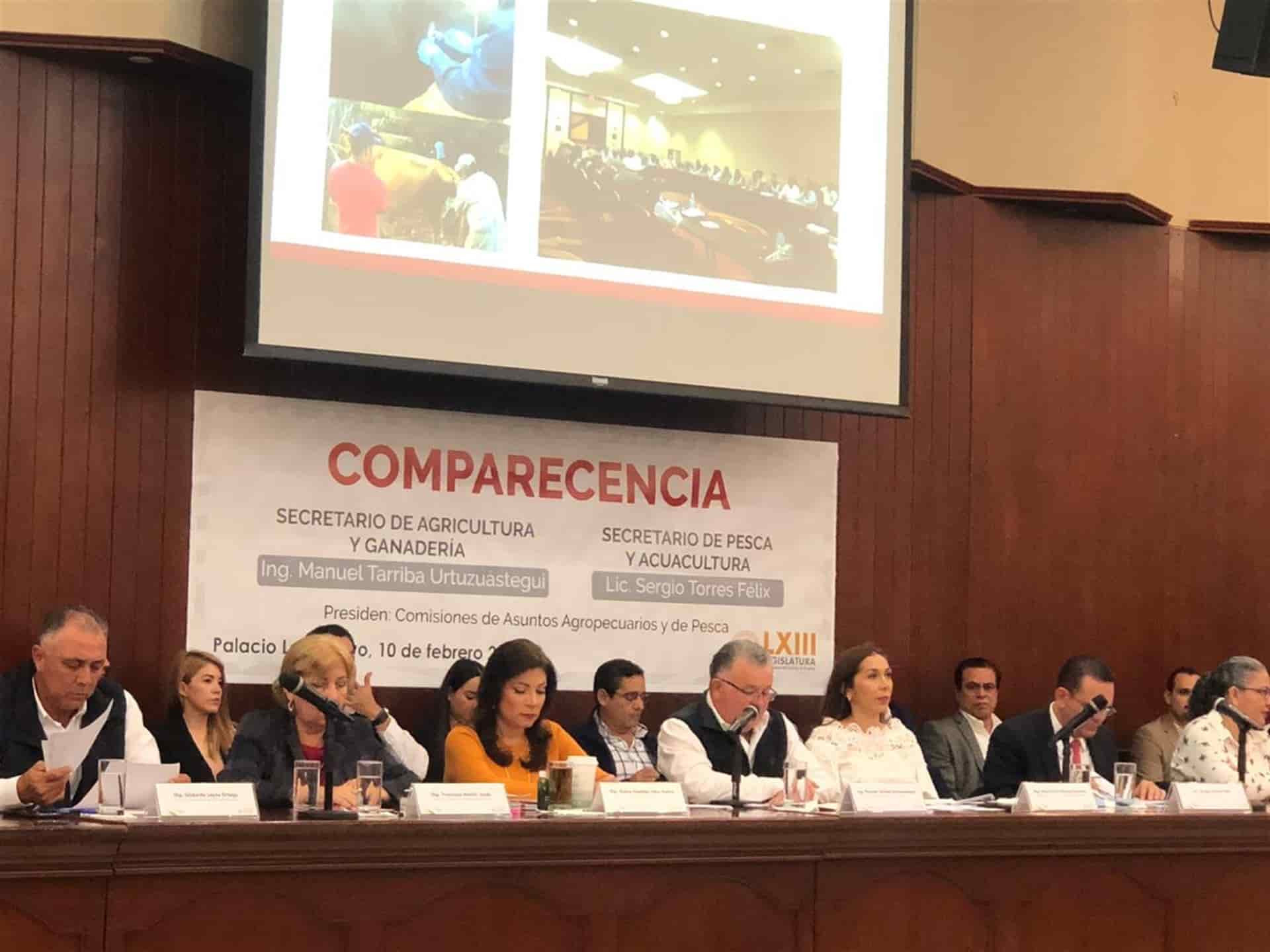 FOTO: Heidi Fonseca.