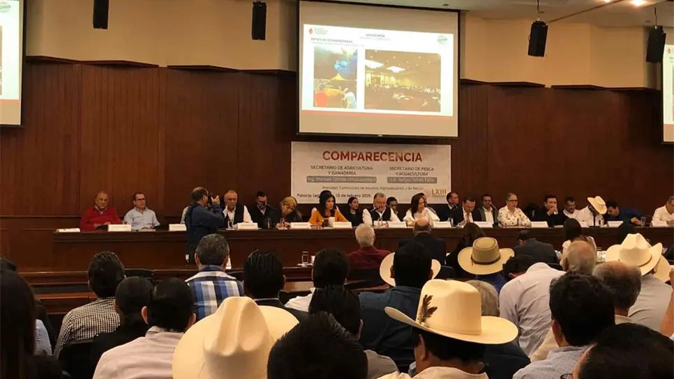 FOTO: Heidi Fonseca.