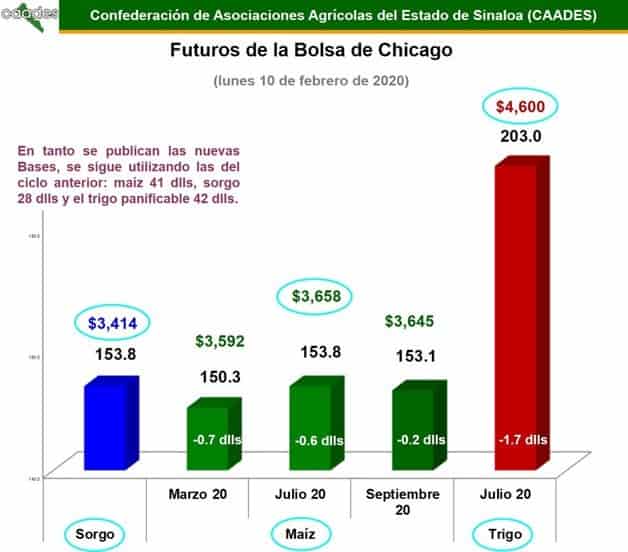 Imagen Placeholder