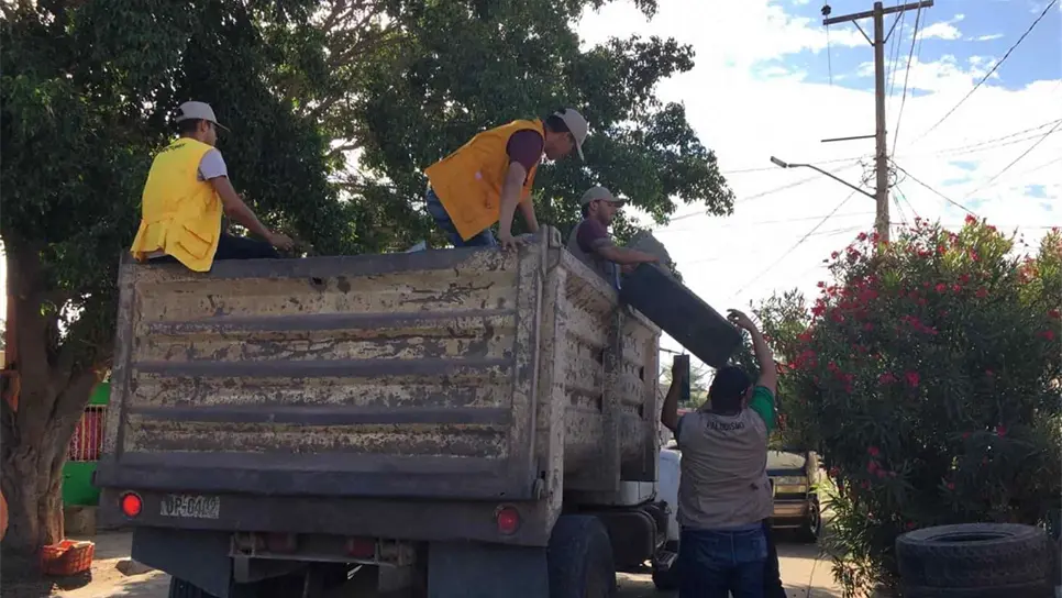 Llevarán Jornada de Eliminación de Criaderos a seis colonias de Los Mochis