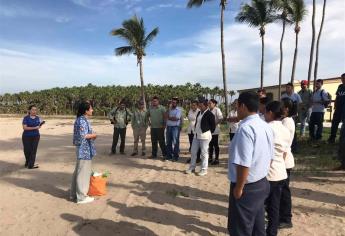 Mazatlán logra dos nuevas certificaciones de playa