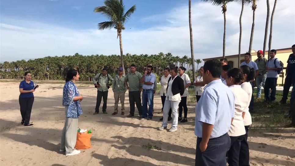 Mazatlán logra dos nuevas certificaciones de playa