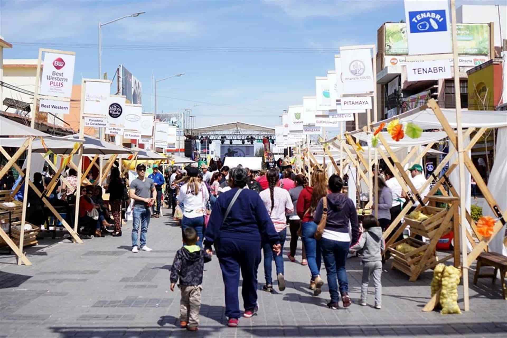 FOTO: Luz Noticias | Archivo.