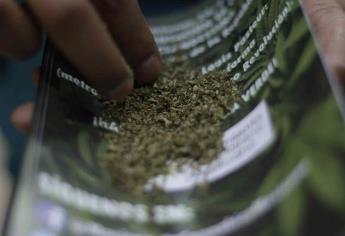Retoma Senado análisis sobre regulación de mariguana