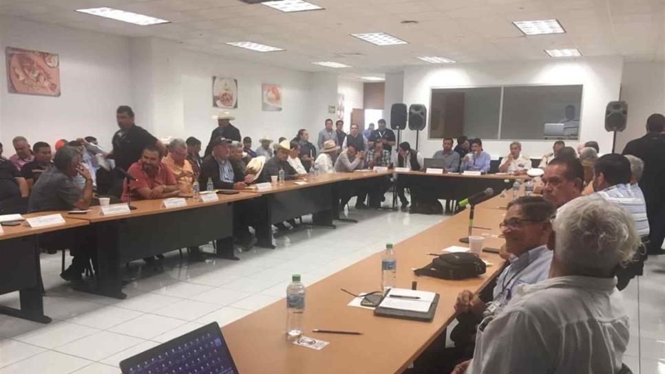 Se reúne en Mazatlán el Comité de Vedas del camarón
