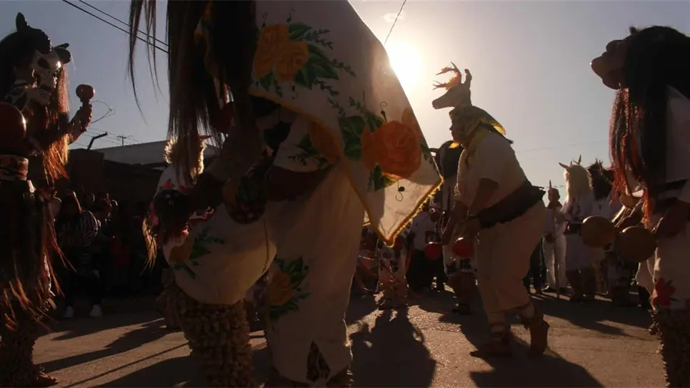 FOTO: Luz Noticias | Temática.