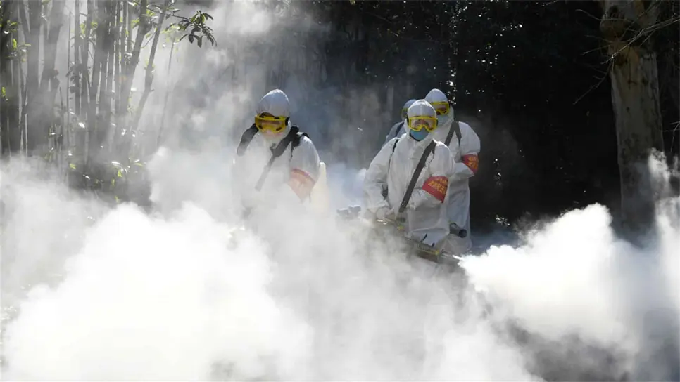 Industria fílmica pierde 5 mil millones de dólares por coronavirus