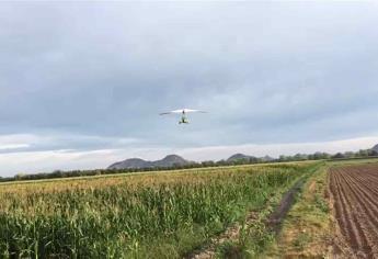 Control biológico en agricultura beneficia al medio ambiente: JLSVVF