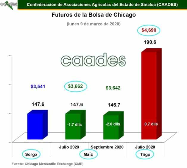 Imagen Placeholder