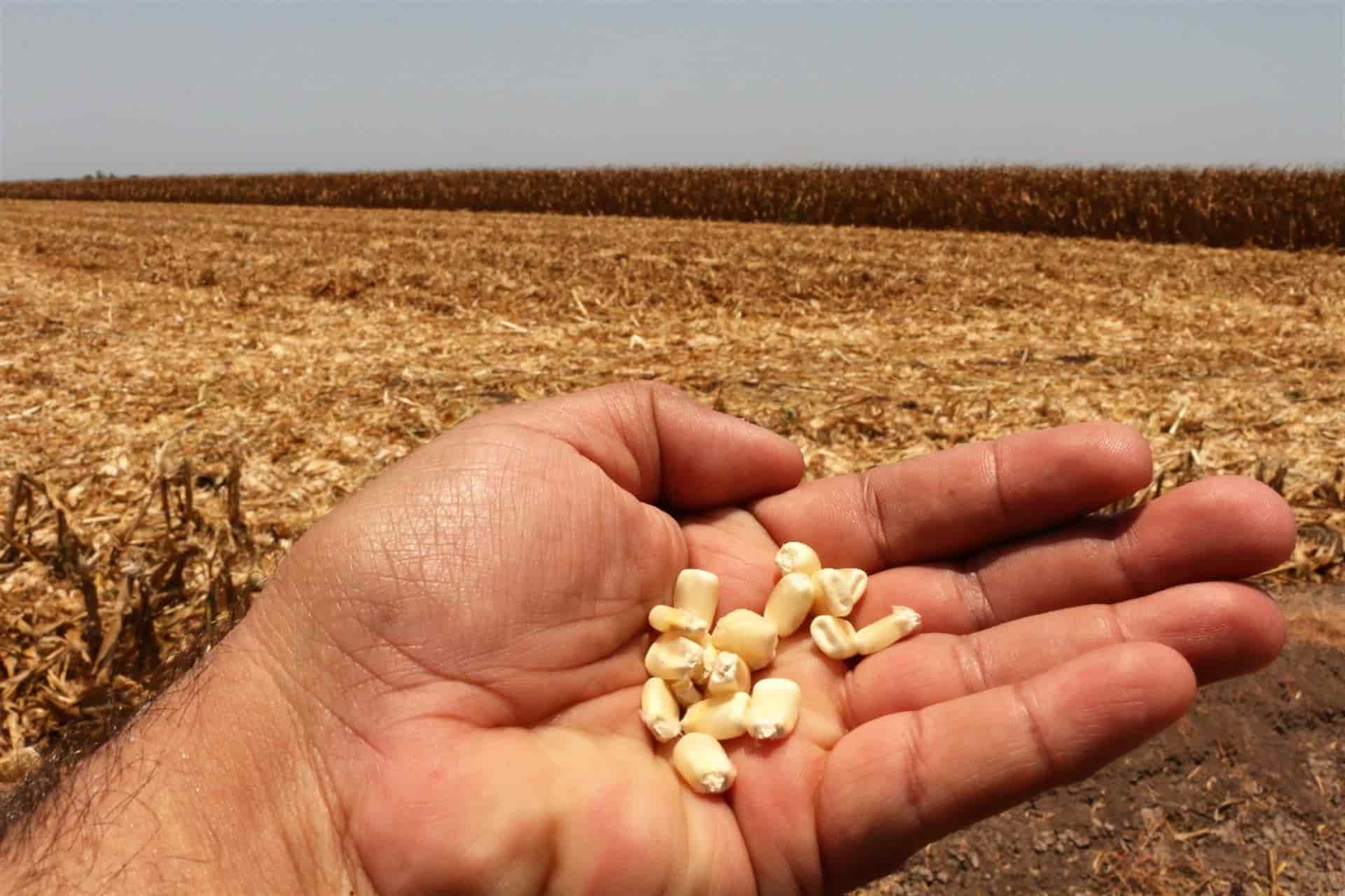 FOTO: Luz Noticias | Archivo.